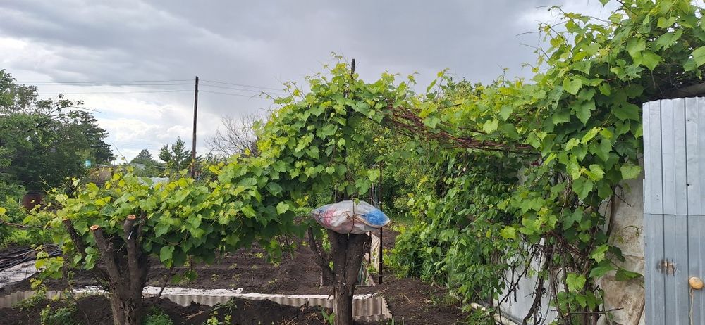 Продам Дачу отличное