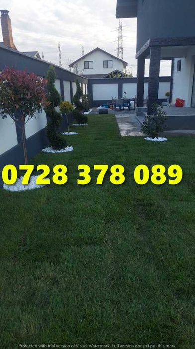 Gazon Rulou Pentru Curtea ta