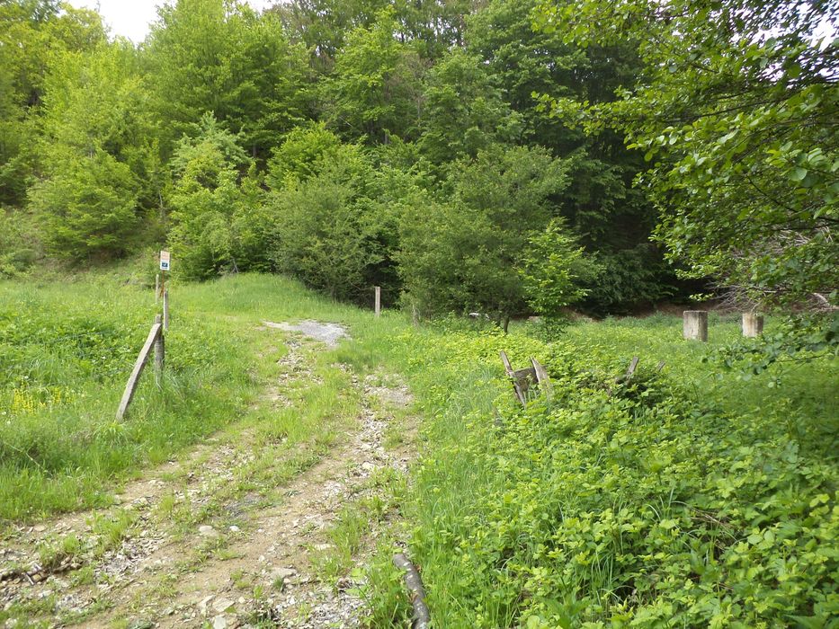 Продава се Къща в с. Бойновци, Област Габрово - 500 кв.м за 37 €/кв.м - Снимка #3