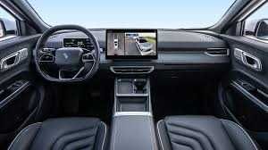 Neta U Chelenger pod zakaz