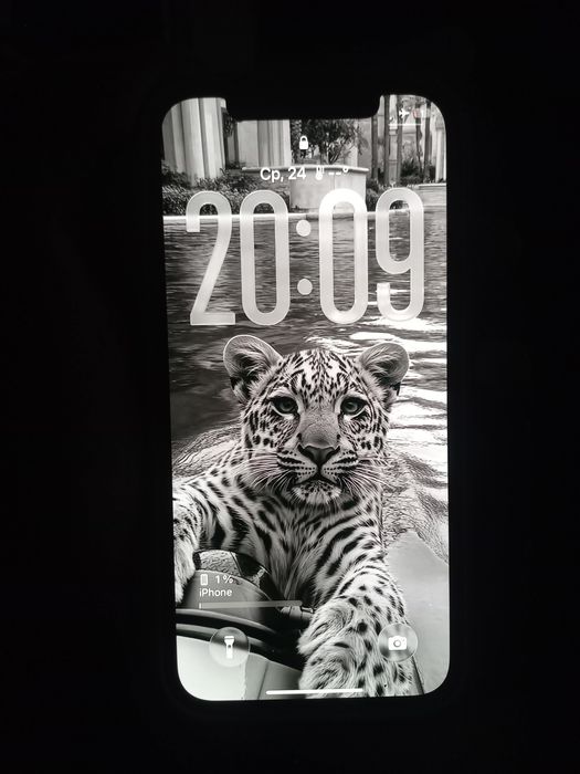 Iphone 12 про срочна