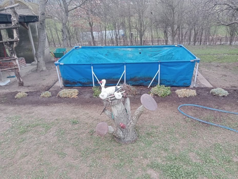 Vând mașină tuns iarba și piscina