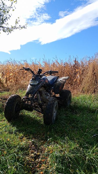 ATV quad barossa mustang