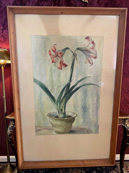 Acuarelă Amaryllis semnată Markreither, Austria 1920-1950