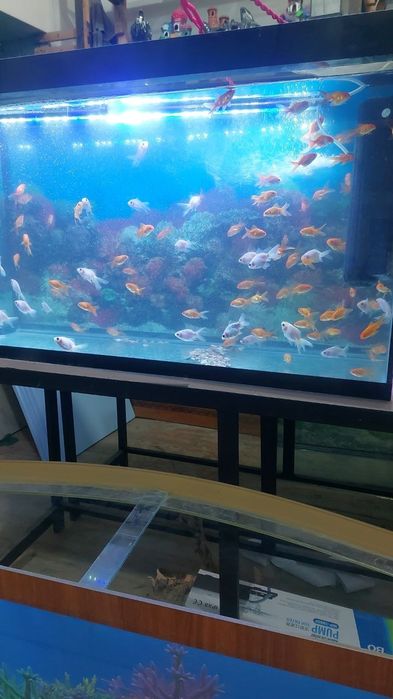 А.к.в полный комплект