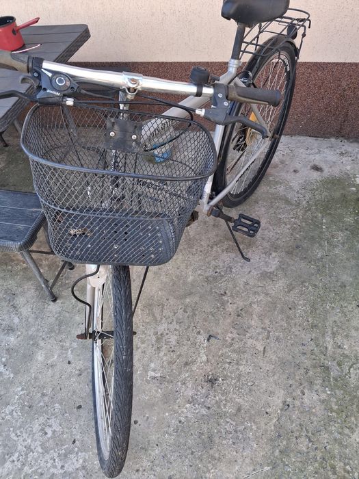 Biciclete de damă și bărbătească