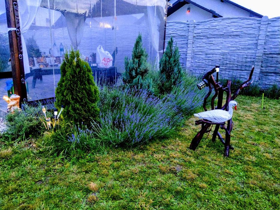 VAND TEREN 2008MP in ALBESTI pe strada Colonel Ioan Angelescu