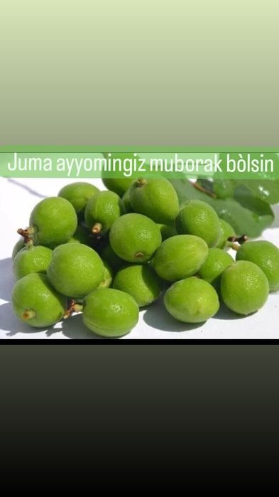 Dovcha & Koksulton & Ravoch