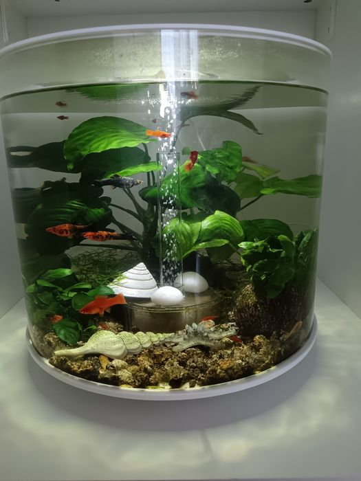 Acvariu biorb tube 35 litri cu MCR.