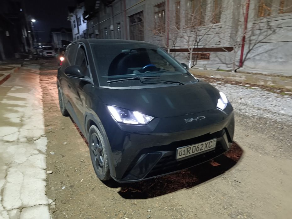 Bvd seagul 2023 qora