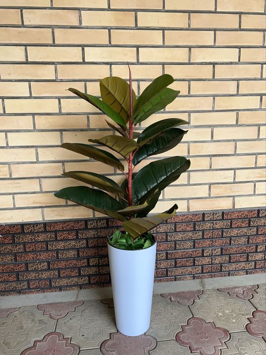 suniy dekorativ gullar bor