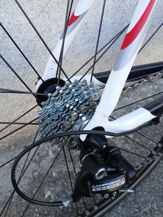 Cursiera Colnago carbon