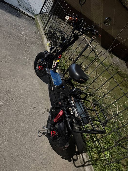 Drongo monster pro