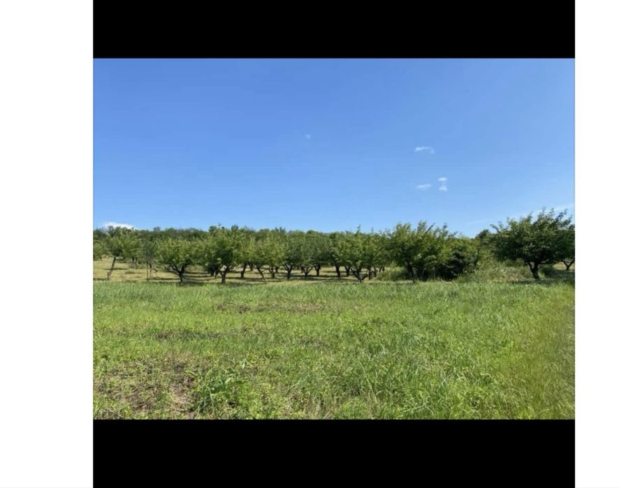 Vand teren deosebit de frumos pentru 1- 2-4 familii-5755 MP