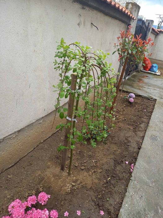 Продава се Къща в с. Боянци, Област Пловдив - 180 кв.м за 468 €/кв.м - Снимка #17