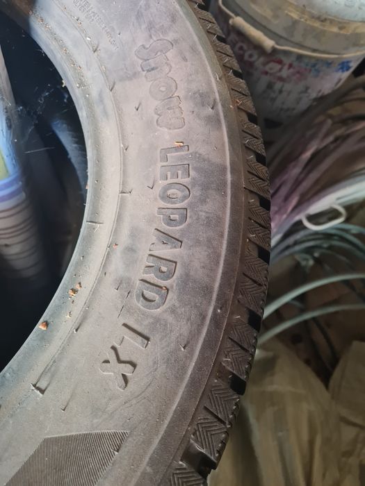 балон красовера 18