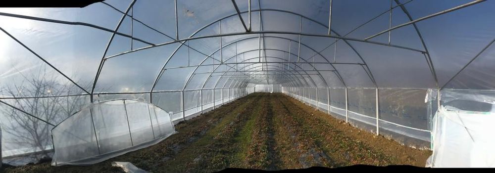 Baleni ,Solarii rezistente  ,confecționam,prelungim , reparam si inve