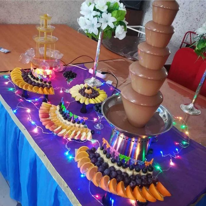 Шоколадный ФОНТАН на праздник