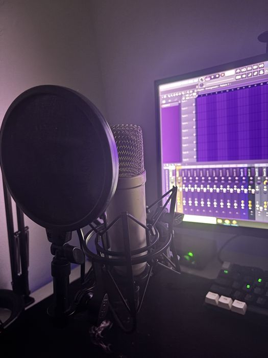 Microfon Nt1a(stare perfecta)