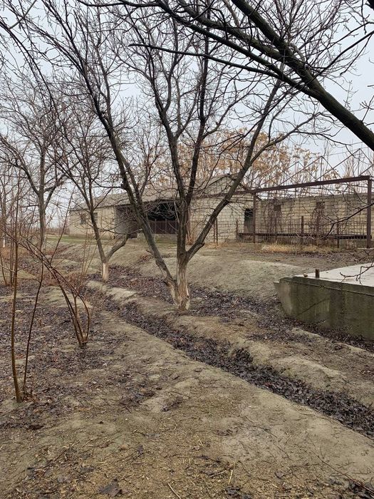 Участик в пригороде