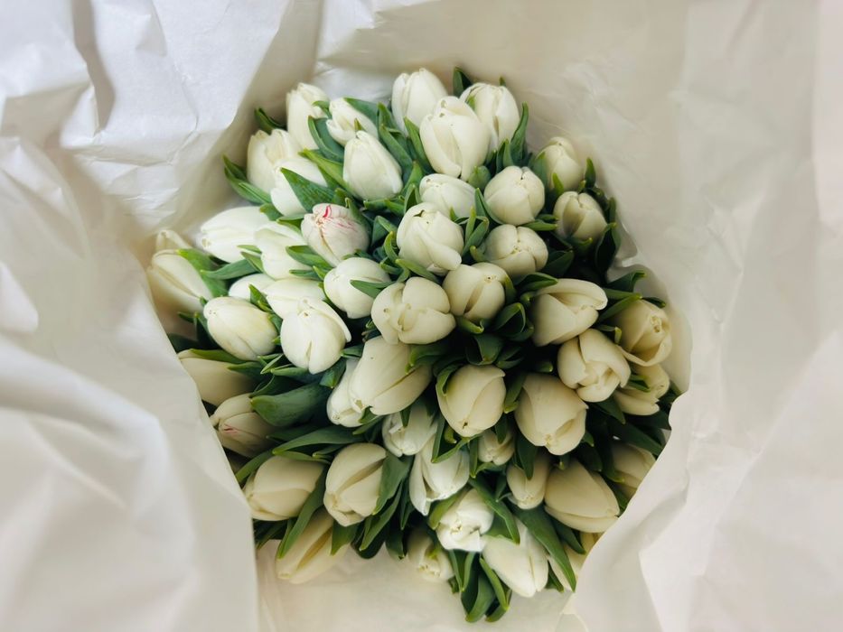 Тюльпаны к 14 февраля и 8 марта!