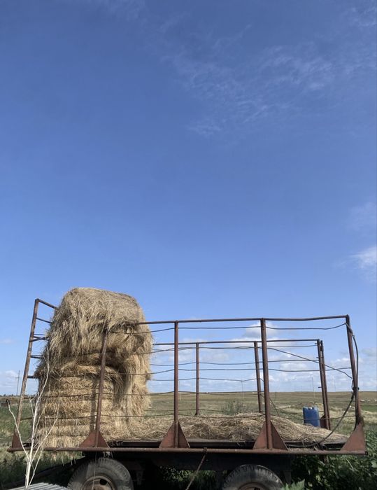 Трактор МТЗ 80 (82)