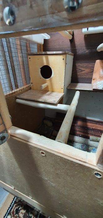 Vând Volieră și 7 Peruși