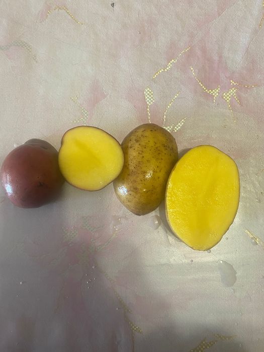 Картофель дачный.          .                .