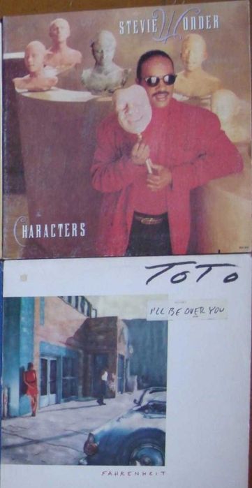 Виниловые пластинки.