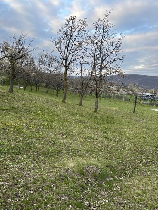 Teren ideal penteu cabana