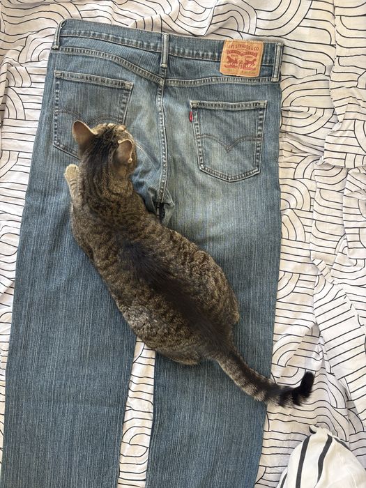 Levis straigh дънки