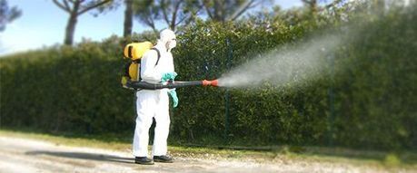 Dezinfeksiya xizmati