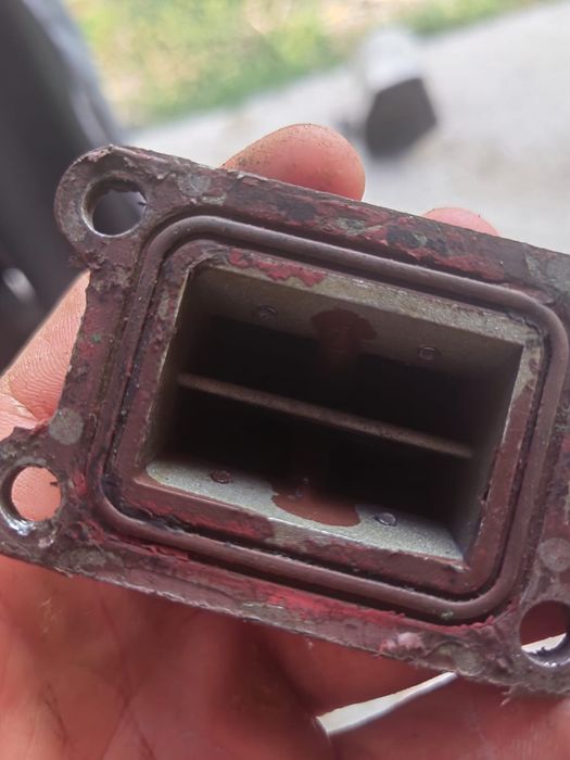 Muzicuta am6 polini carbon