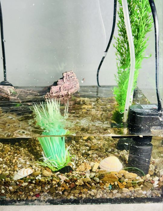 Аквариум 38х31х21 для рыб