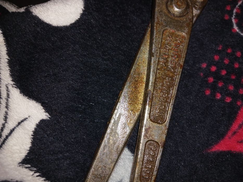 Cleste dulgher knipes