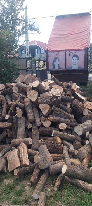 Fag și stejar de vanzare