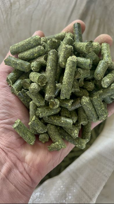Гранулы из люцерны