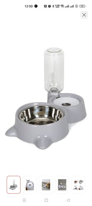 Срочно отдам котенка девочка