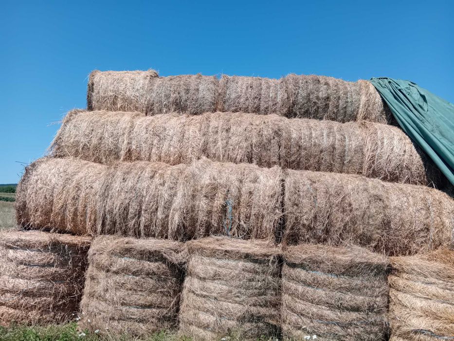 Vand baloti de fan