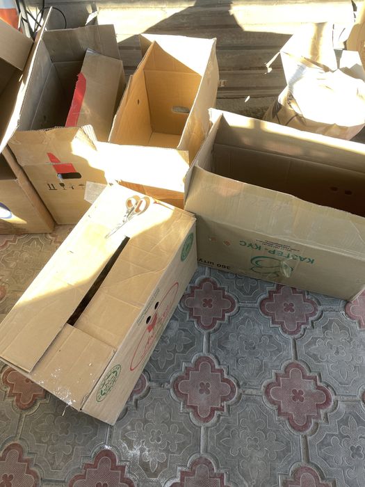 коробки из под яиц