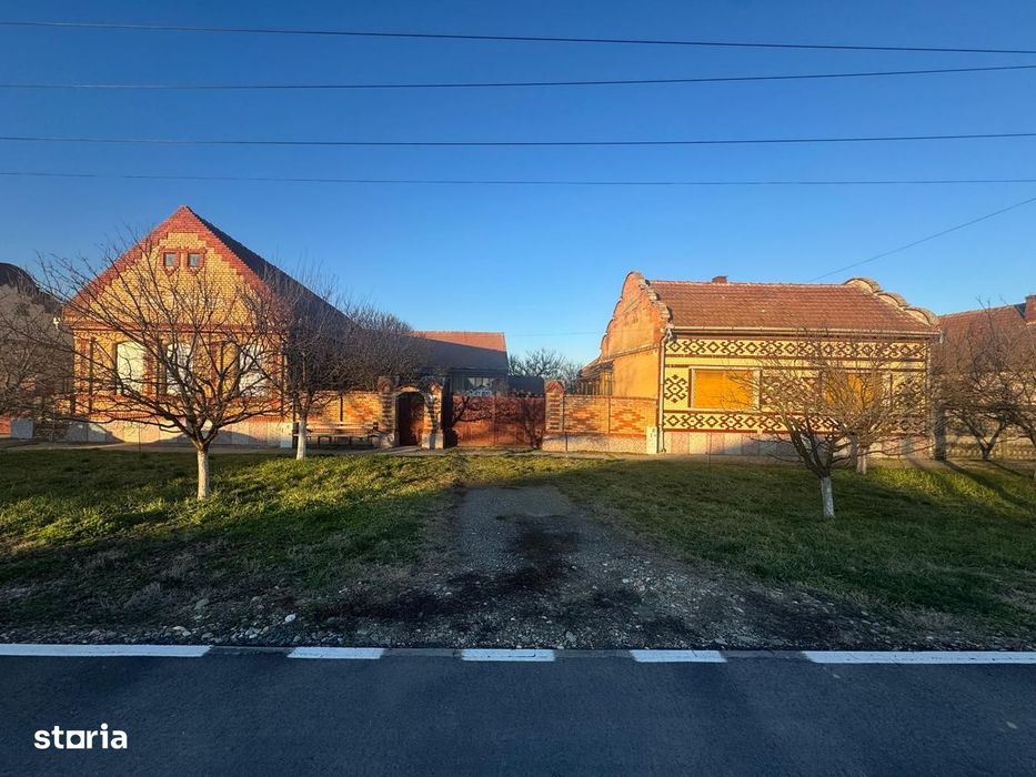 De vanzare proprietate in Belint, jud. Timis – 2 case si teren 7.805 m