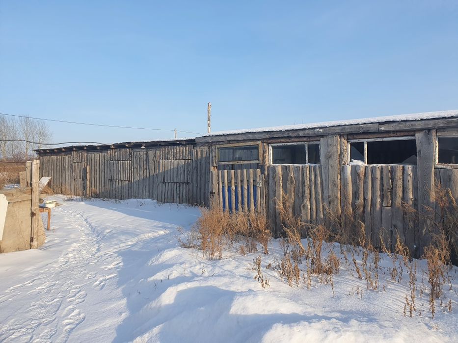 Дом с откормочной базой