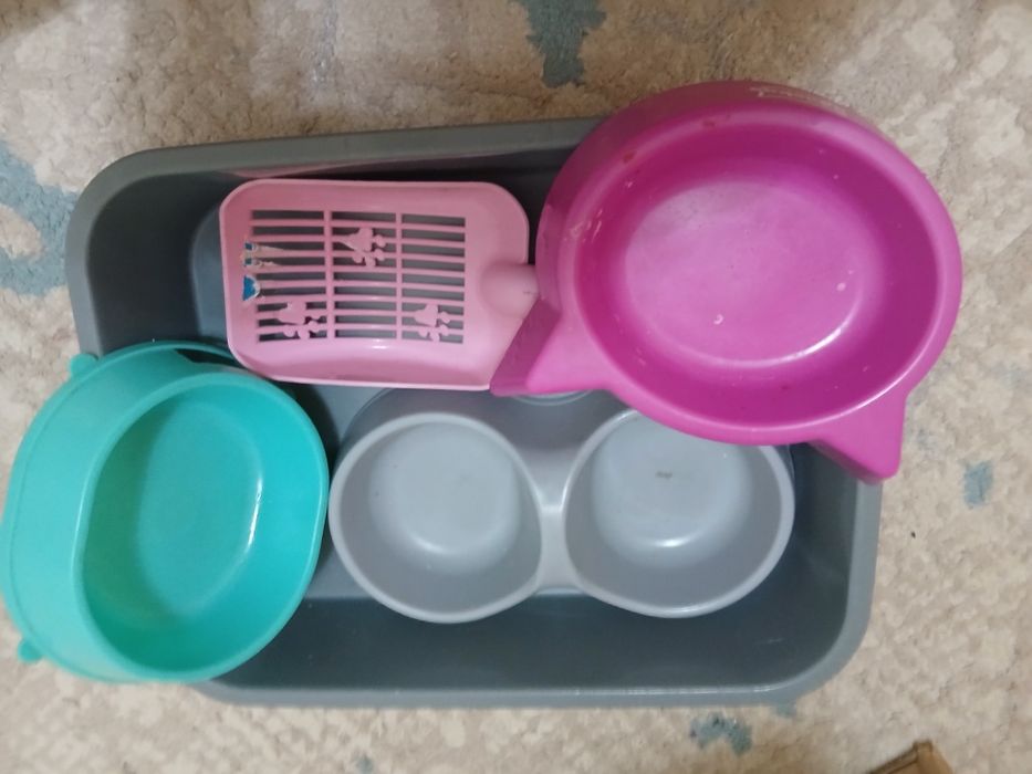 Набор для кошек миски совок лоток