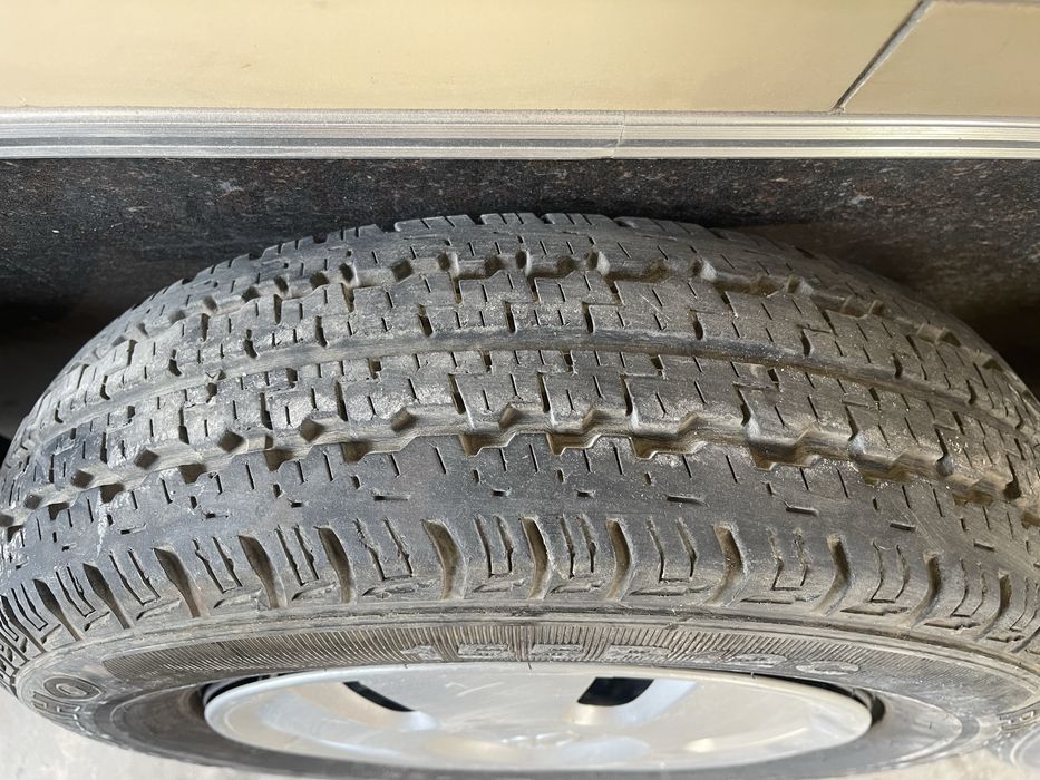 Damas balon diametor 12