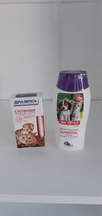 Для котят сузпензия и шампунь