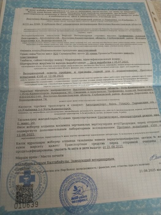 Продам мед Катон- Карагай