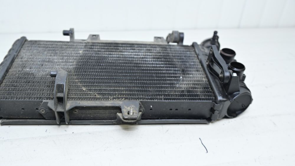 Radiator Apa si protectie BMW F700GS / F650GS / F800GS  2012 - 2016