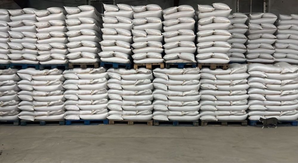 Vând porumb uscat Gata pus in saci ofer si transport la domicilu