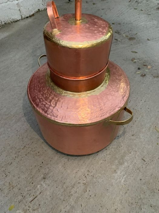 Cinfectionqm cazane pe cimanda