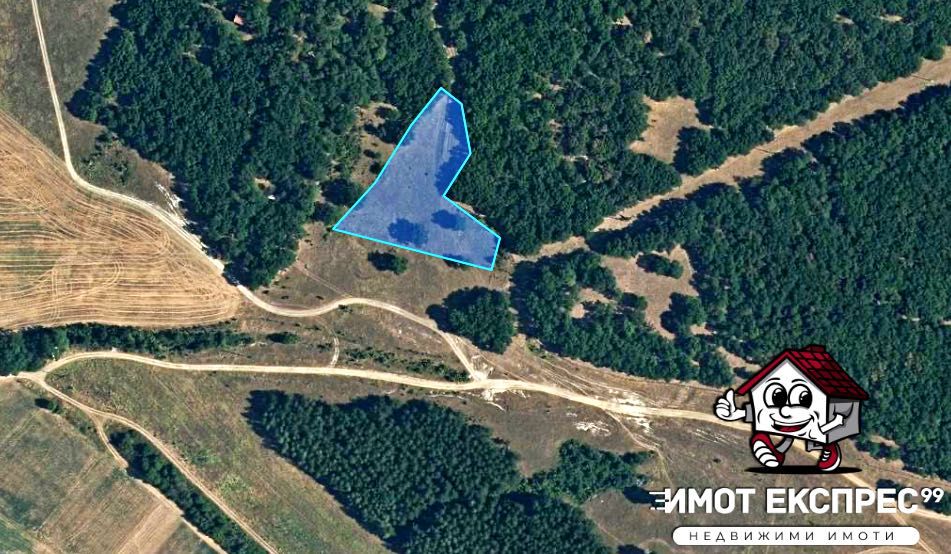 Нива 4 декара, 240м лице, до село Мулдава, за инвестиция